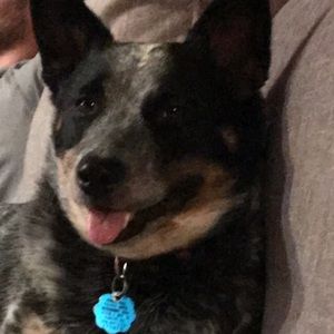 Meet your Posher, Mitch